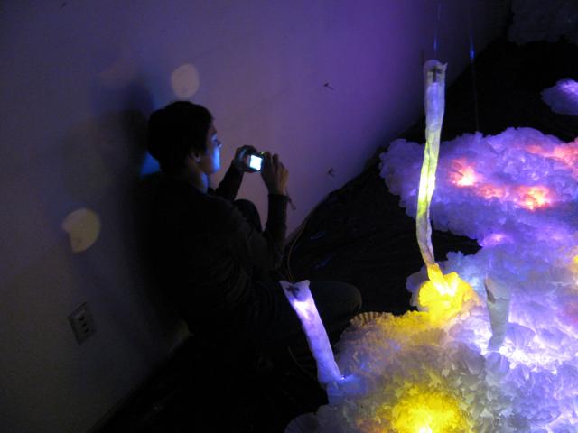 Garden of Light and dutiful tender